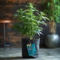 Preview: Grow Bucket Super Soil mineralic